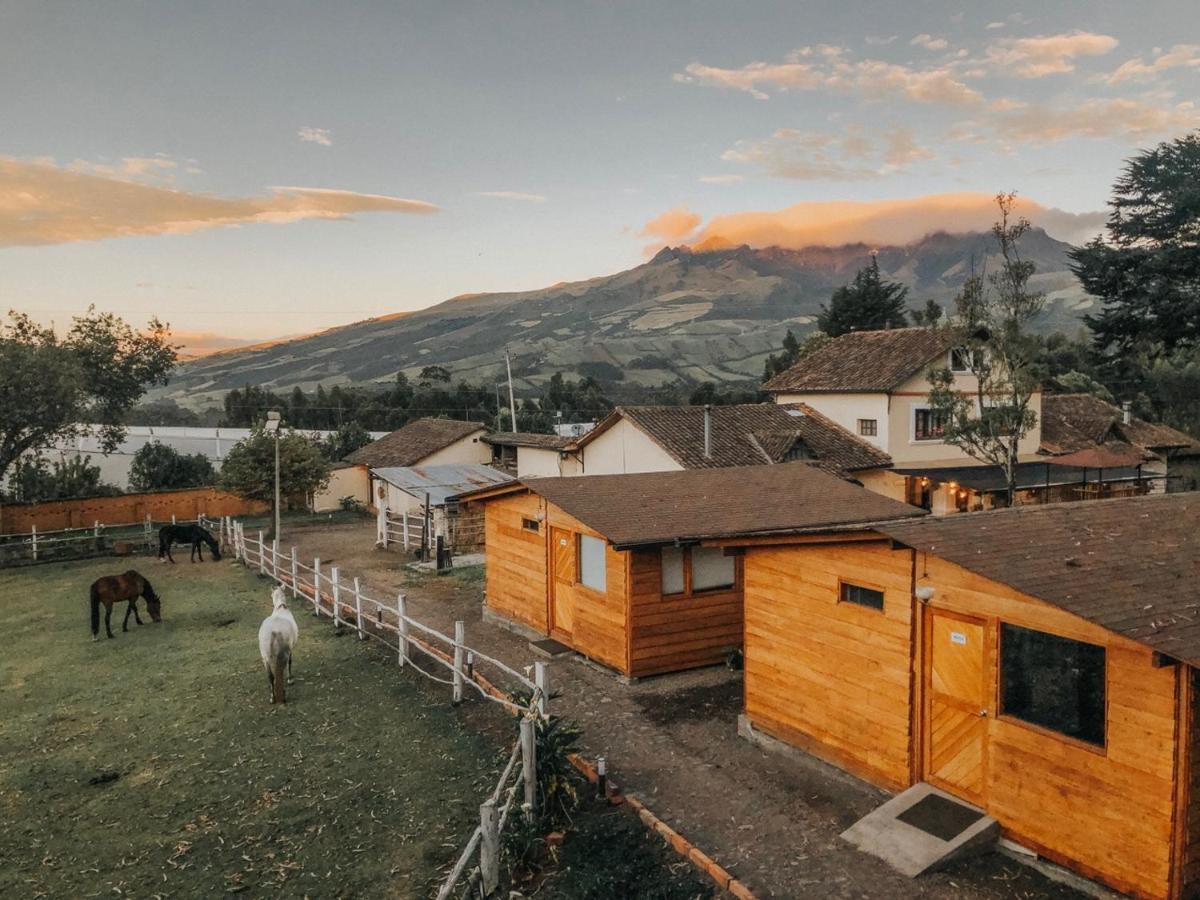 Hosteria Papagayo Cotopaxi Machachi Exterior foto